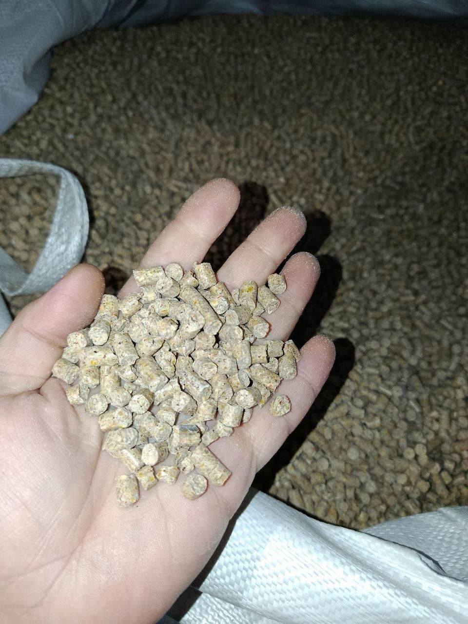 Handful of corn pellets over a bag
