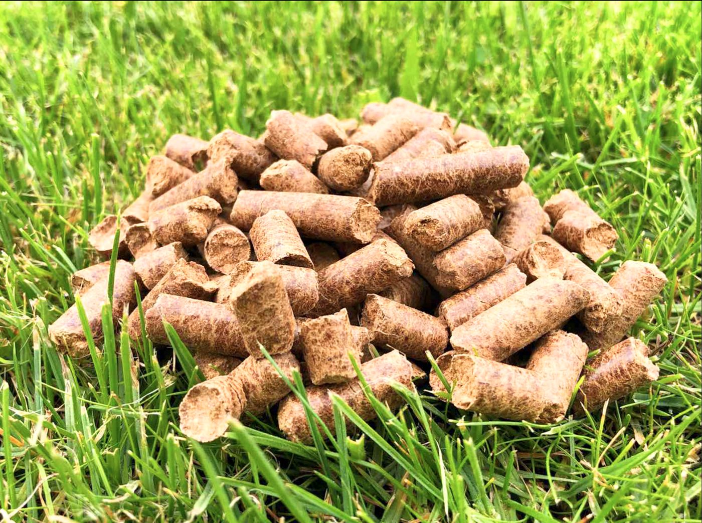 Pellet di legno sull'erba