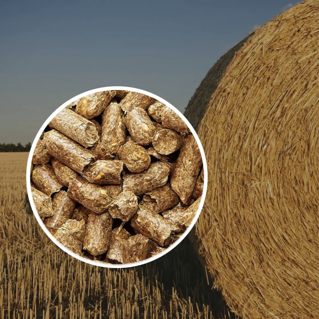 Pellet di paglia di frumento e rotoballa in un campo mietuto